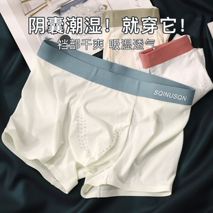 夏季冰丝凉感透气抗菌生蚝男士内裤高弹大码舒适四角休闲简约平角