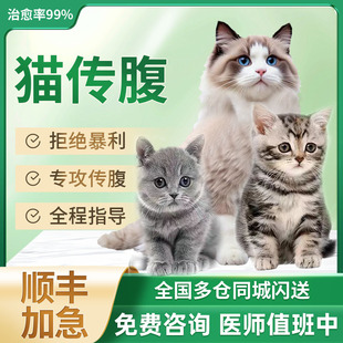 喵咪传腹针剂猫传腹口服片传染性腹膜炎大肚子消腹水干湿性抑制剂