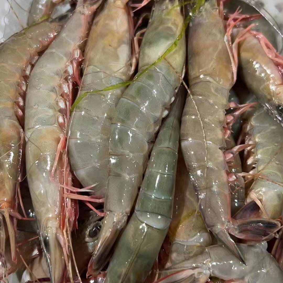 如东金钩虾海鲜滑皮虾滑皮虾