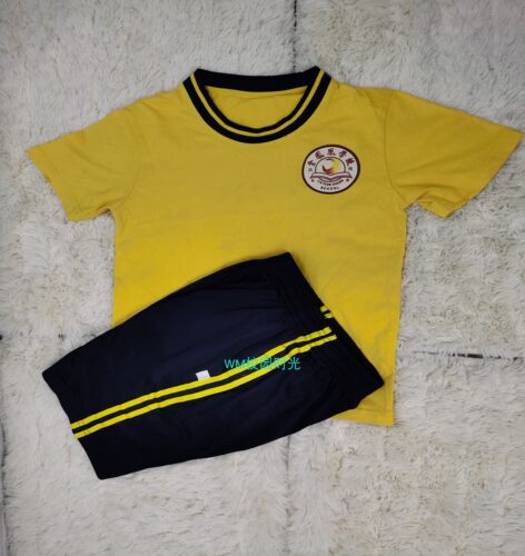 【金凤凰】东莞市凤岗金凤凰学校小学校服