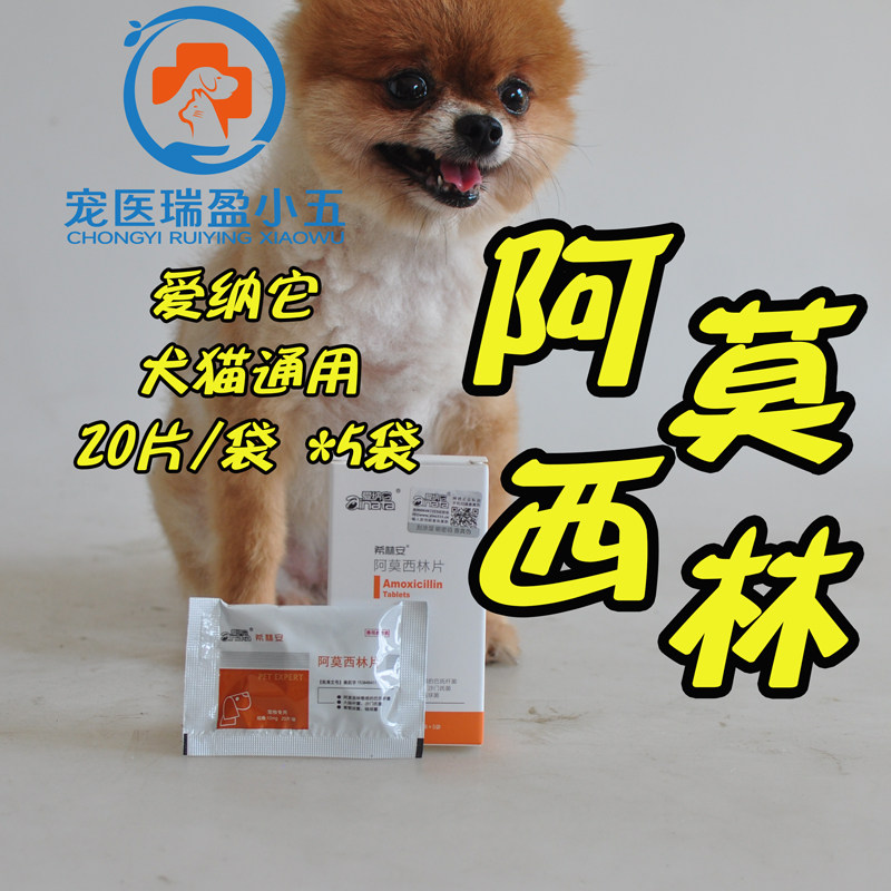 爱纳它希林安阿莫西林片狗狗呼吸道咳嗽猫猫鼻支感染支气管咳