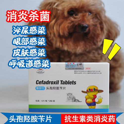 鲁飞头孢羟氨苄片宠物猫狗消炎药