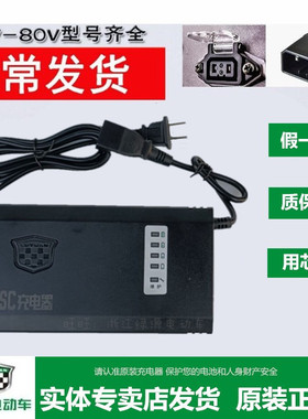 绿源电动车充电器原装铅酸电瓶车充电器48V60V72V20E30E40E-T2T4T