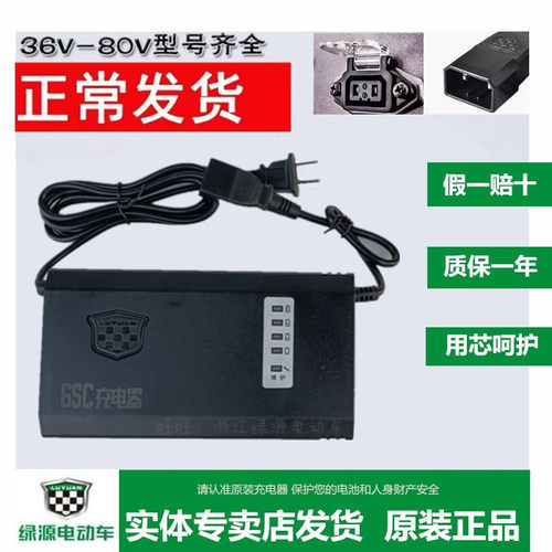 绿源电动车充电器原装铅酸电瓶车充电器48V60V72V20E30E40E-T2T4T - 封面