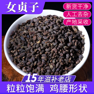 女贞子500g中药正品冬青子中药材女真子和旱莲草的功效与作用茶包