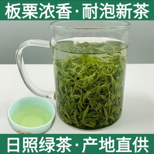 云雾绿茶香茶香茶新茶明前高山日照绿浓香型崂山绿茶三杯香500克