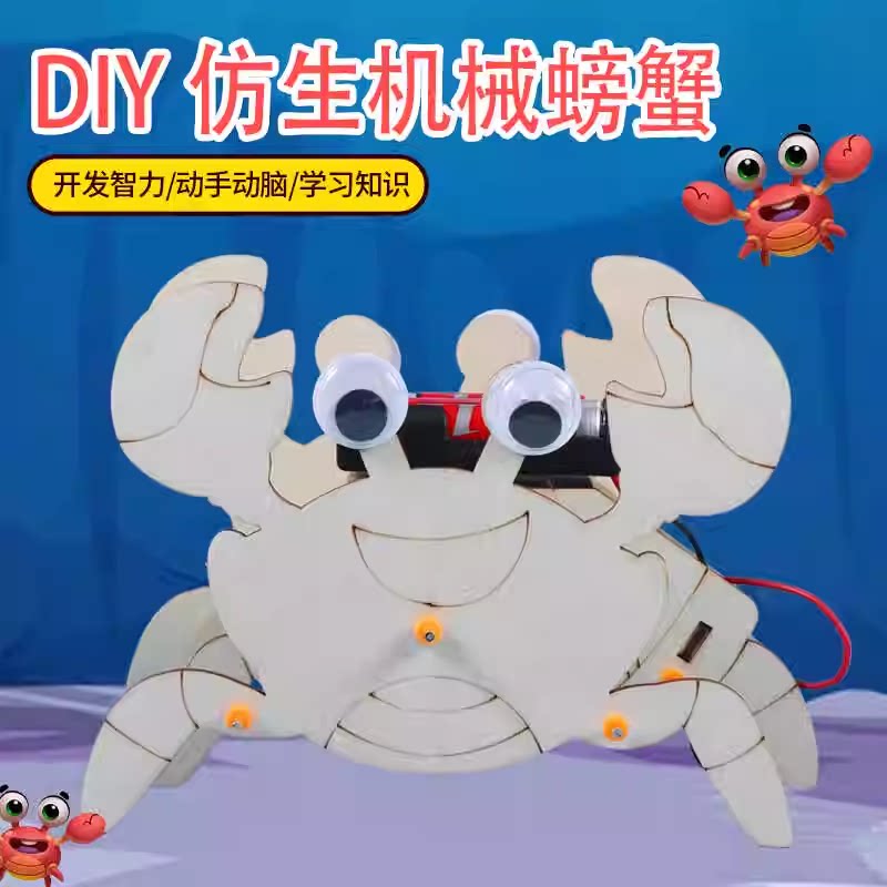 手工小制作仿生机器人螃蟹