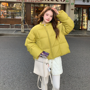 数据好 冬装羽绒服 2C018-3010-P225-K338图片