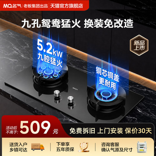 名气九孔鸳鸯猛火燃气灶双灶家用天然气煤气灶台老板出品J1/J1P