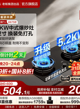 [新品]名气天然气燃气灶煤气灶双灶家用液化气灶台老板出品6675B