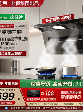 名气小黑翼Pro顶侧油烟机自旋洗