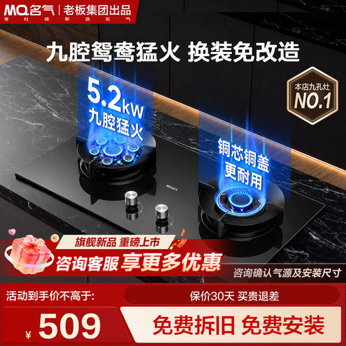 名气九孔鸳鸯猛火燃气灶双灶家用天然气煤气灶老板出品炉灶台J1
