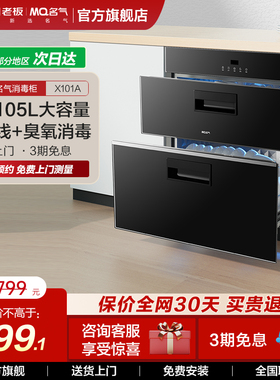 名气消毒柜家用小型杀菌碗柜碗筷臭氧双门消毒柜X101A老板出品