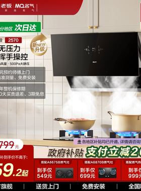 名气油烟机侧吸家用抽烟机厨房大吸力吸油机官方旗舰2570老板出品