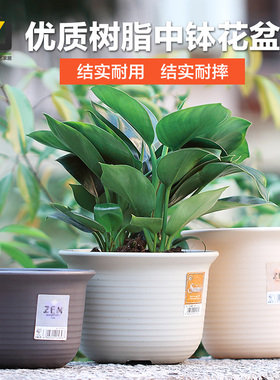 爱丽思IRIS树脂中钵花盆爱丽丝盆栽花卉塑料花盆阳台种菜花盆花盘