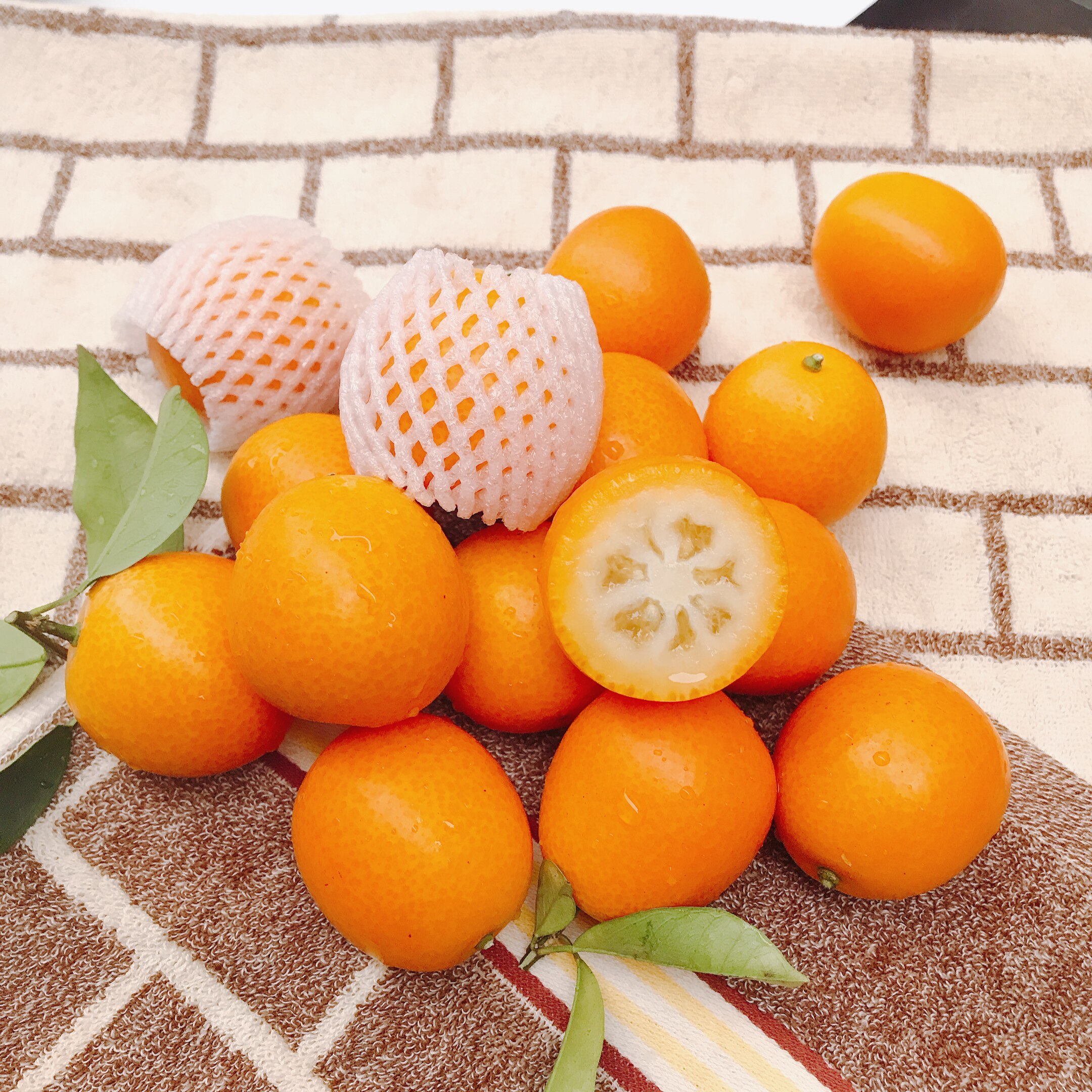 广西桂林阳朔金桔当季水果新鲜包邮整箱小金桔新鲜5斤现摘大金桔