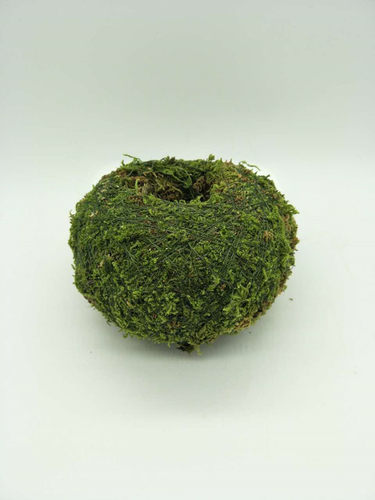 日式苔玉苔藓球 苔藓花器 青苔创意石斛种植盆 园艺盆栽 家居装饰 - 封面