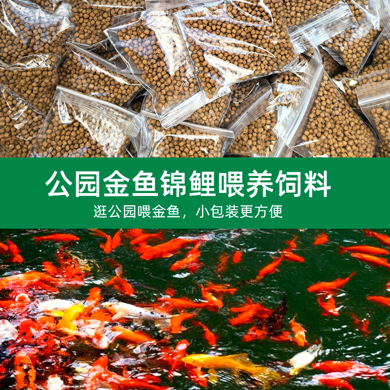公园观赏喂养锦鲤金鱼小朋友喂鱼玩淡水鱼通用喂食大小颗粒鱼饲料