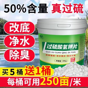 过硫酸氢钾水产养殖双效改底片改底王鱼塘水质净化剂鱼虾塘批发