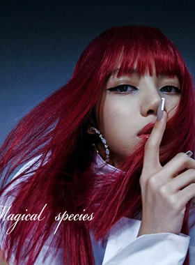 物种 BLACKPINK新专辑Lisa同款耳环大圆圈显瘦潮气质耳夹无耳洞