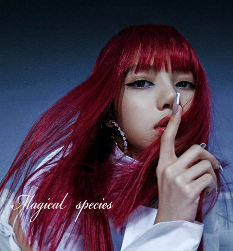 物种blackpink新专辑同款耳环