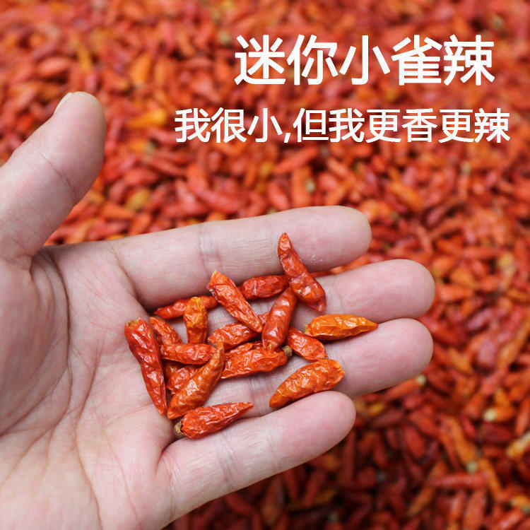 小雀椒云南小雀辣鸟眼辣椒迷你朝天椒小米辣缅甸小雀辣果香特辣