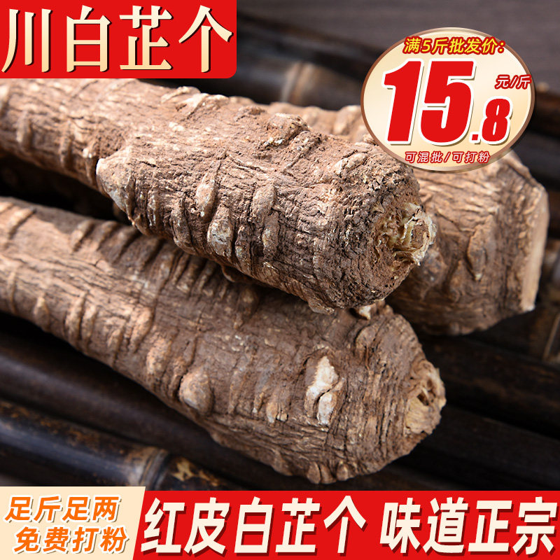 川白芷根500克 煮羊汤用整根四川白芷个香白纸棒香料调料大全