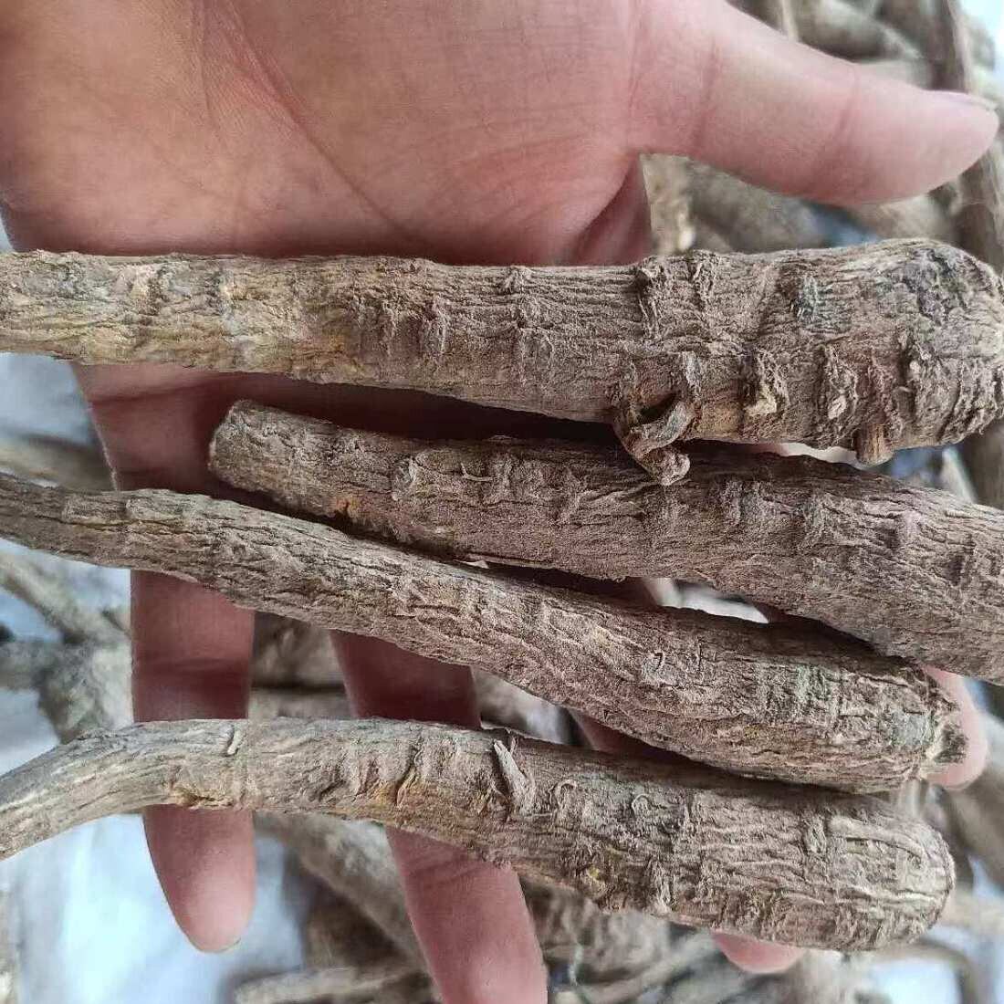 白芷整根野生干货整根白芷香料新货野生白芷白芷切片煲汤白芷整根