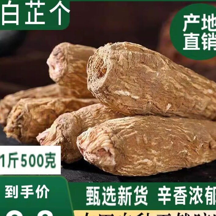 白芷根特级白止整根食用散装白纸棒香料卤料大全白芷个可切片磨粉