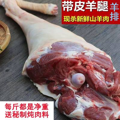 现杀新鲜山羊肉羊腿羊排农家散养山羊肉带皮羊肉烧烤羊腿带皮羊腿