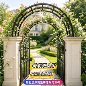 铁艺拱门蔷薇月季庭院装饰爬藤架