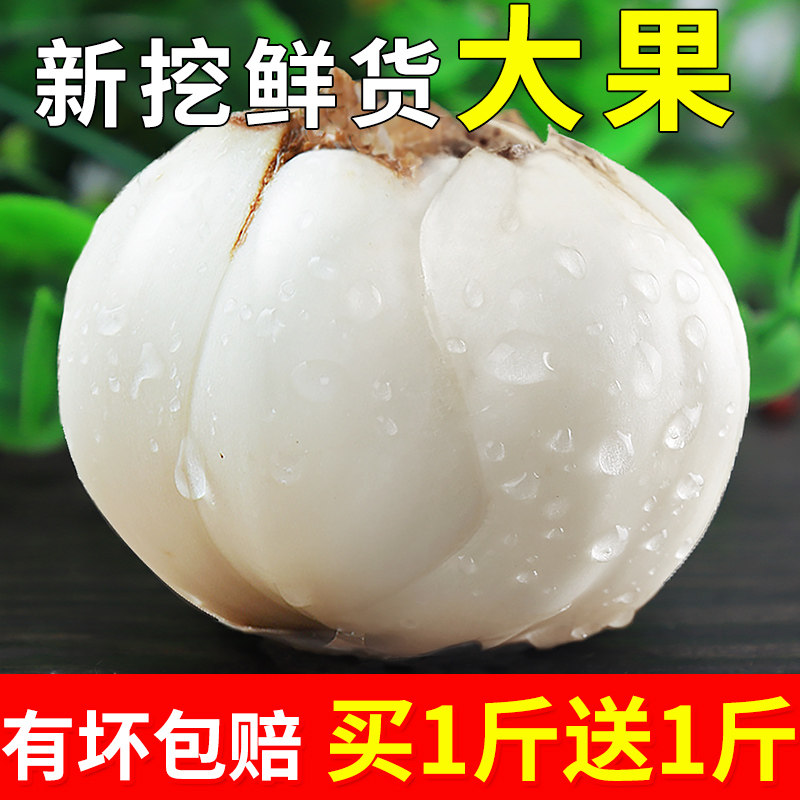 甘肃兰州百合新鲜百合500g包邮纯甜食用天然生百合非特级干货特产