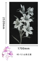 КС-12 Альянс гор и морей