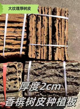 软木树皮种植板非葡萄牙软木