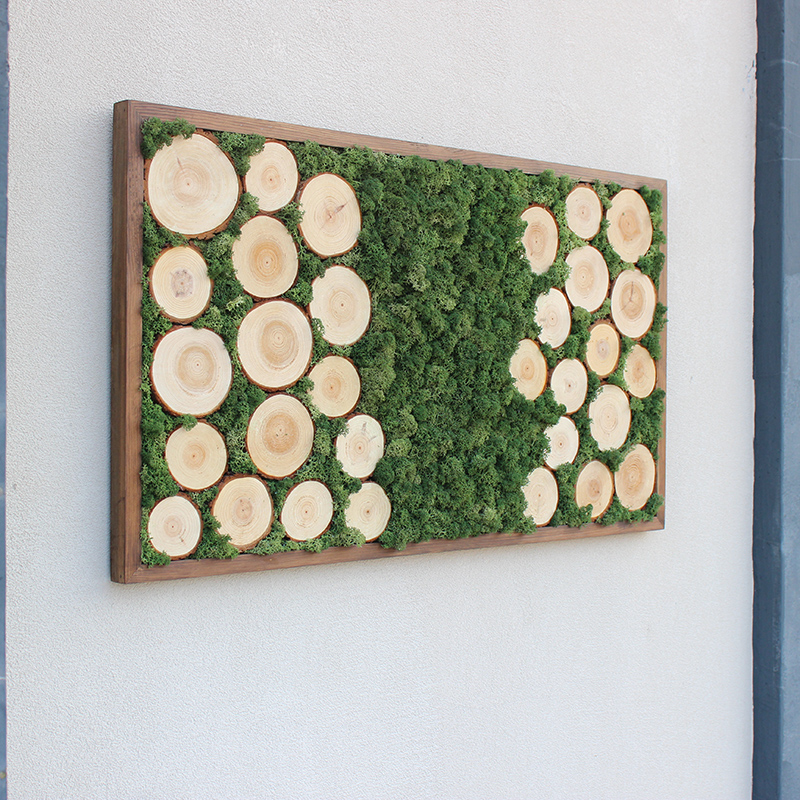 永生苔藓画植物墙鹿蕊藓装饰画实木原木墙面背景软装定制进口包邮图片