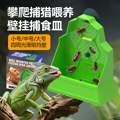 爬宠壁挂捕食皿自动喂食器