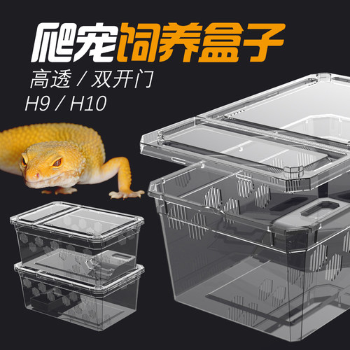 诺摩爬虫饲养盒高透耐用