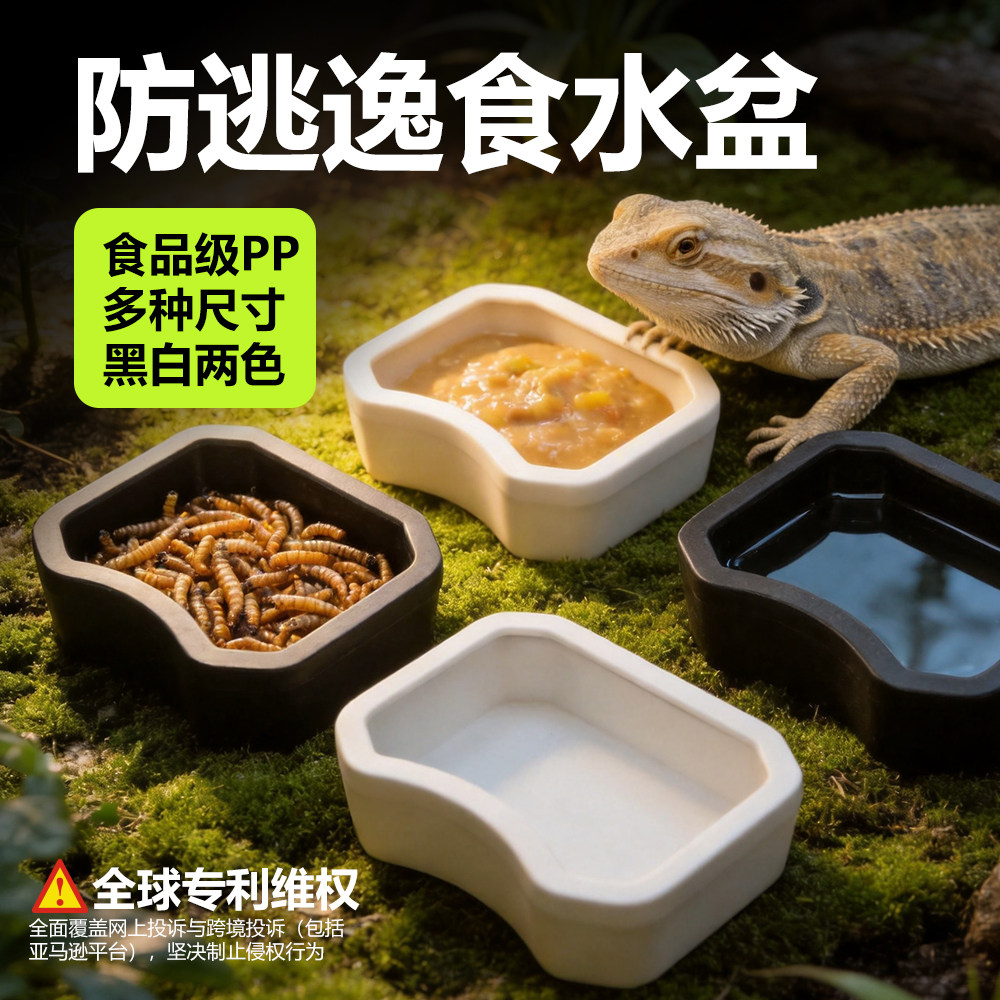 爬虫防逃食盆爬宠守宫角蛙蛇鬃狮蜥蜴饲养箱黑白中大号塑料喂食器