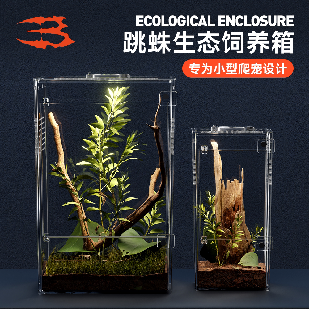 爬宠跳蛛饲养盒宠物鸣虫蜘蛛甲虫蛐蛐螳螂透明盒子塑料高透跳珠盒图片