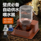 爬宠守宫自动饮水器爬虫壁虎仓鼠懒人水盆自动供水喂水器蓄水盘