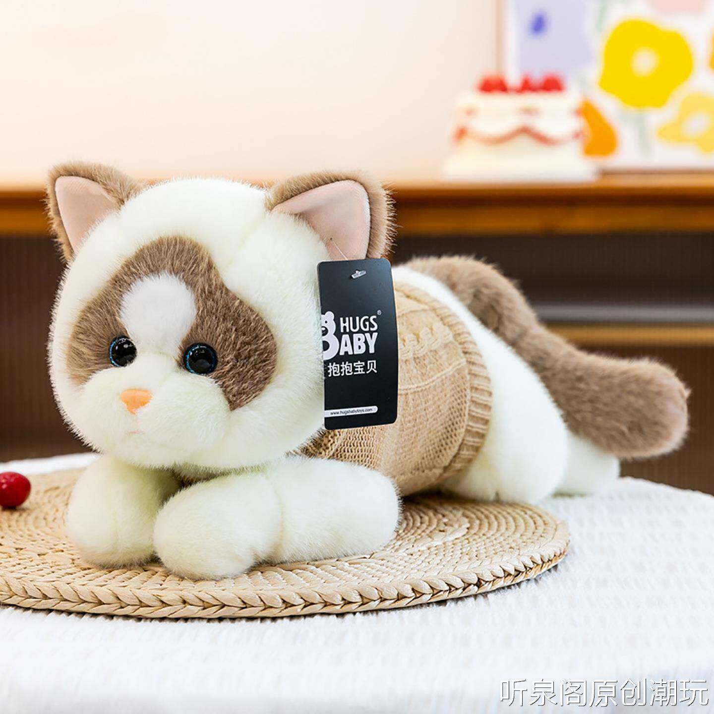 正版抱抱宝贝暖暖猫毛绒玩具公仔穿毛衣仿真猫玩偶布娃娃生日礼物