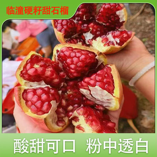 陕西临潼硬籽甜石榴新鲜水果红石榴酸甜口感硬质石榴当季 水果现摘