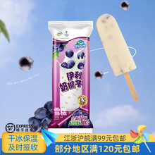 徽旺冷饮包邮伊利雪糕奶提子冰淇淋小时候吃的怀旧冰激凌5支