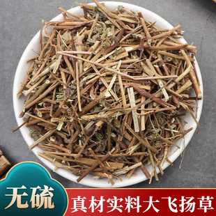 飞扬草中药材大飞扬草洗澡新鲜干货500g克无硫正品节节花中草药