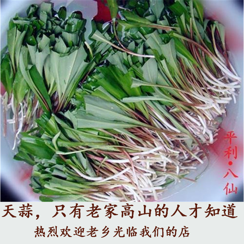 老坛酸菜农家腌制酸菜天蒜鹿耳韭天韭小蒜高山韭菜纯正高山寒葱