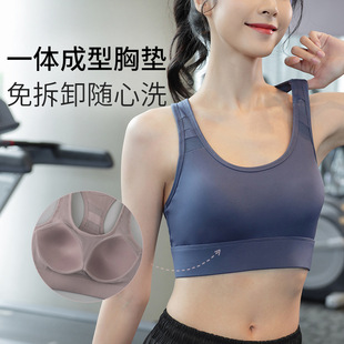 一体式固定杯防震健身运动文胸高强度大胸减震聚拢美背运动内衣女