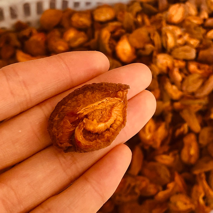 原味酸杏干不加防腐剂不加糖老式无核金杏干自然风干孕妇酸友零食