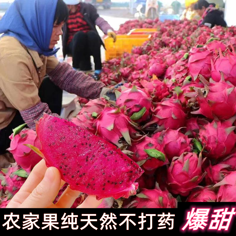 广西现摘现发金都一号红心密宝火龙果应季新鲜农家果3-5斤大果