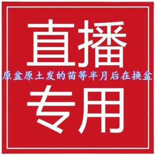 直播间直播专拍链接差多少拍多少直播直播专拍链接