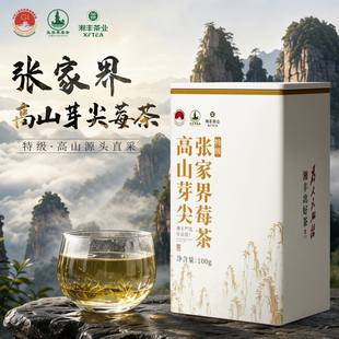 湘丰张家界正品芽尖霉茶100g＊1罐